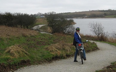 Tamar Lake path