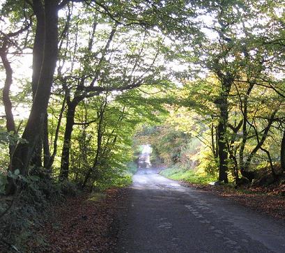west of Pyworthy rectory