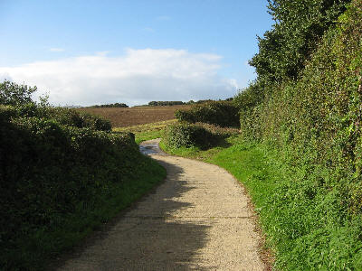 concrete path west of Whalesborough