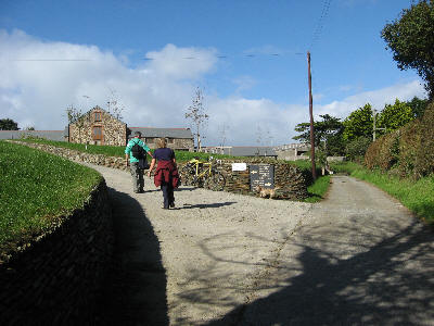 Whalesborough
farm access lane