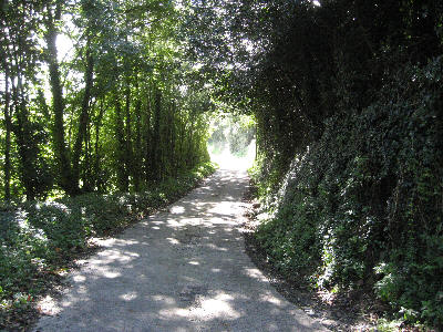 permissive bridleway at Whalesborough