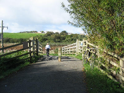 multi-use path 
at Pethericks Mill