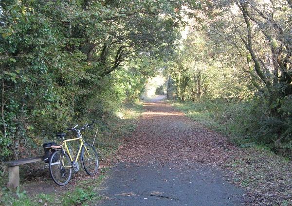 Derriton cycleway