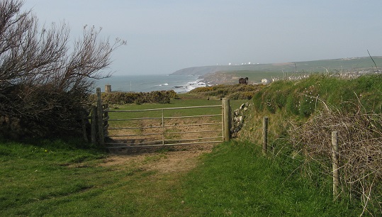 steel gate on bridleway looking north