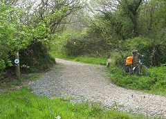 Whalesborough Hare Trail