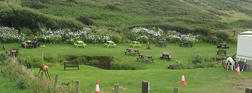 rustic teagarden